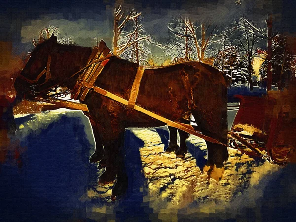 Cheval Coloré Art Illustration Grunge Peinture Photographie Hiver — Photo