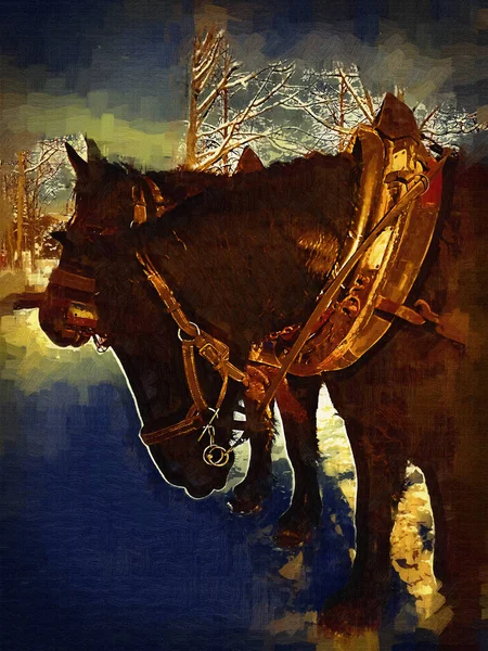 Colorful Horse Art Illustration Grunge Painting Photography Winter — Stock Photo, Image