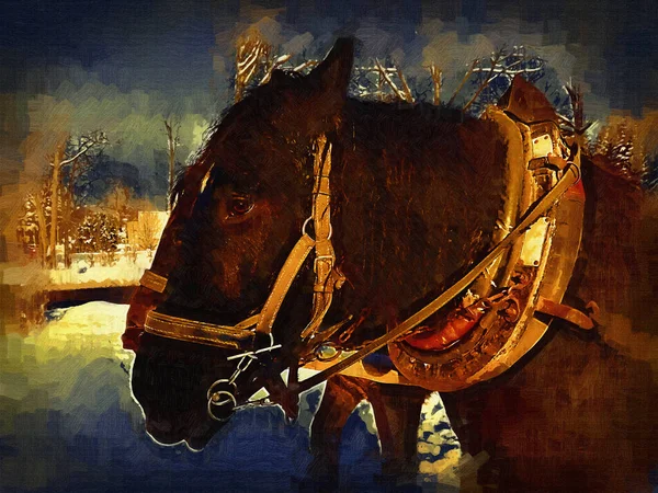 Colorato Cavallo Arte Illustrazione Grunge Pittura Fotografia Inverno — Foto Stock