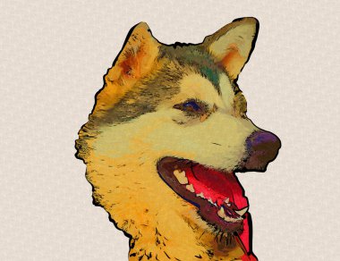 köpek Alaska malamute, illüstrasyon, sanat, vintage, retro, antika resim çizimi