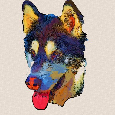 köpek Alaska malamute, illüstrasyon, sanat, vintage, retro, antika resim çizimi