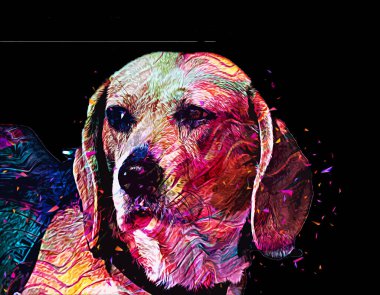 Güzel av köpeği izole edilmiş, resim, sanat, antika, antika resim çizimi.