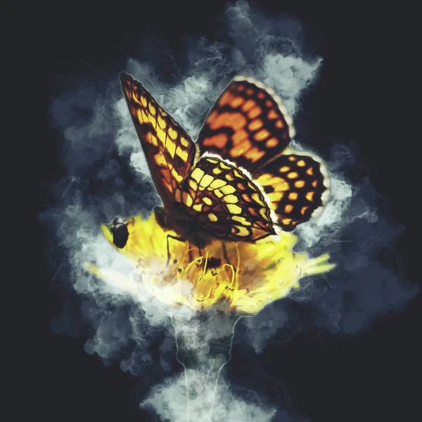 蝶のイラストアートヴィンテージレトロアンティークドローイングスケッチ — ストック写真