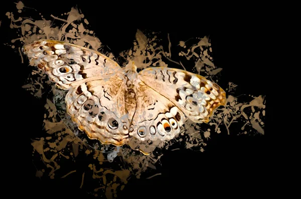 Ілюстрація Метелика Мистецтво Вінтаж Ретро Ескіз Античного Малювання — стокове фото