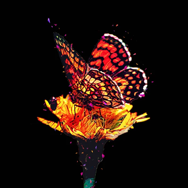 Иллюстрация Бабочки Искусство Винтаж Ретро Антикварный Рисунок — стоковое фото