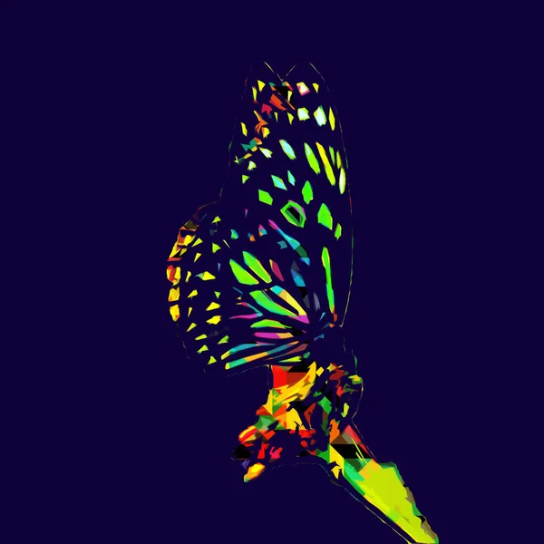 Иллюстрация Бабочки Искусство Винтаж Ретро Антикварный Рисунок — стоковое фото