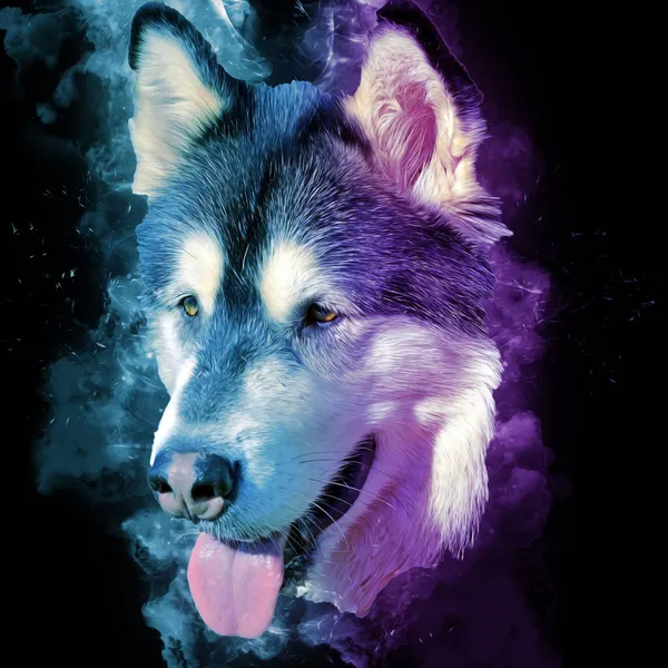 Hund Alaska Malamute Illustration Kunst Jahrgang Retro Antike Zeichnung Malerei — Stockfoto