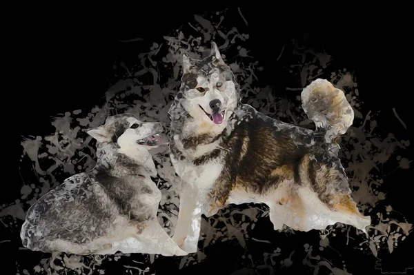 Собака Аляскинский Маламут Иллюстрация Искусство Винтаж Ретро Антикварный Рисунок — стоковое фото