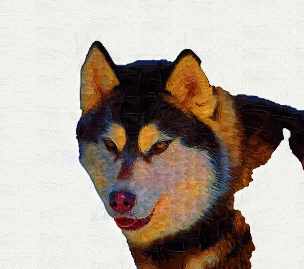 Σκύλος Alaskan Malamute Εικονογράφηση Τέχνη Ρετρό Ρετρό Αντίκες Σχέδιο Ζωγραφική — Φωτογραφία Αρχείου