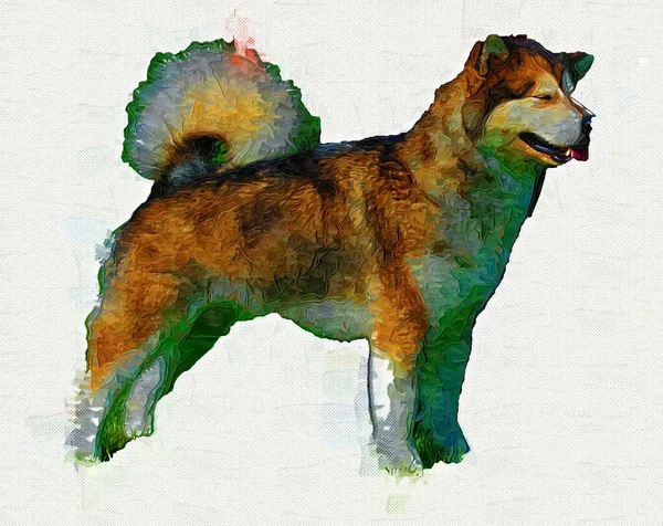 Cão Alasca Malamute Ilustração Arte Vintage Retro Desenho Antigo Pintura — Fotografia de Stock