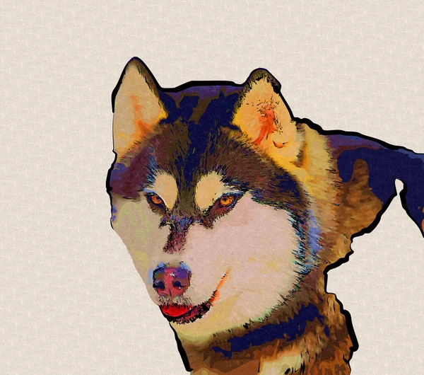 Собака Аляскинский Маламут Иллюстрация Искусство Винтаж Ретро Антикварный Рисунок — стоковое фото