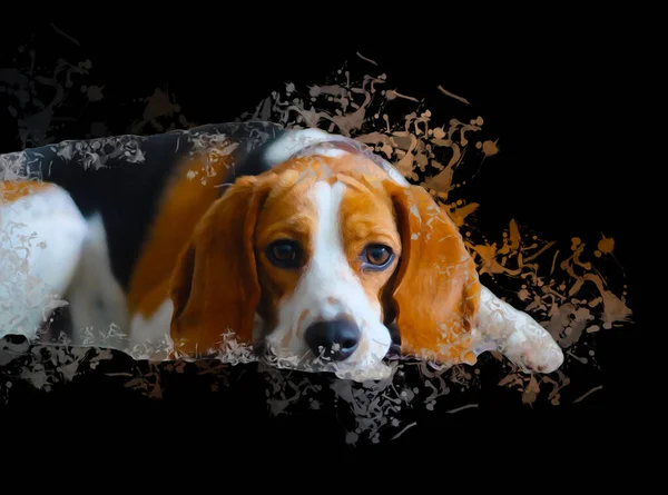 Όμορφη Beagle Σκυλί Απομονωμένο Εικονογράφηση Τέχνη Ρετρό Ρετρό Αντίκες Σχέδιο — Φωτογραφία Αρχείου