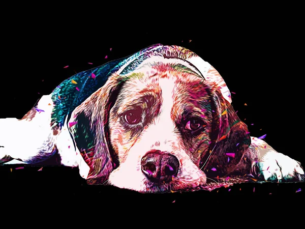 Schöner Beagle Hund Isoliert Illustration Kunst Jahrgang Retro Antike Zeichnung — Stockfoto