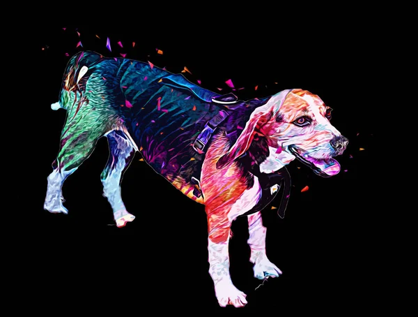 美しいビーグル犬の孤立した イラスト アート ヴィンテージ レトロ アンティークの絵のスケッチ — ストック写真