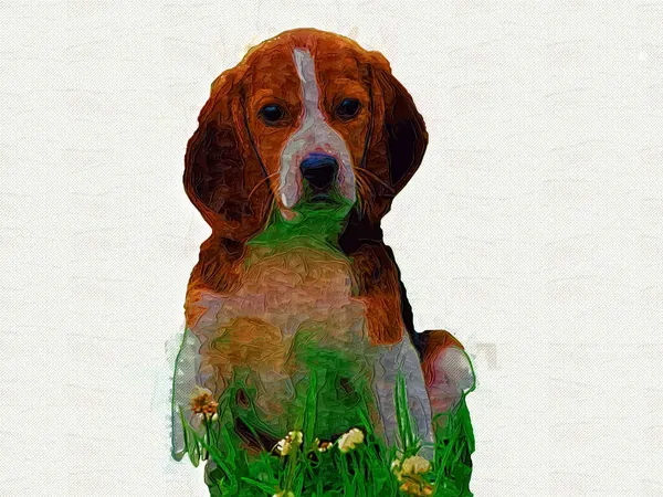 Vacker Beagle Hund Isolerad Illustration Konst Vintage Retro Antik Teckning — Stockfoto