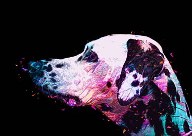 Dalmaçyalı köpek, oturuyor, kameraya bakıyor, illüstrasyon, sanat, antika, antika resim çizimi