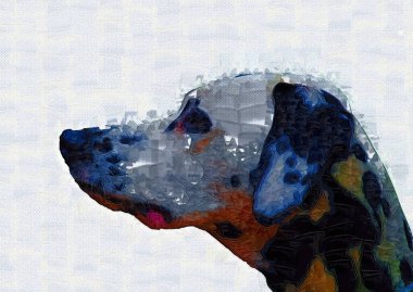 Dalmaçyalı köpek, oturuyor, kameraya bakıyor, illüstrasyon, sanat, antika, antika resim çizimi