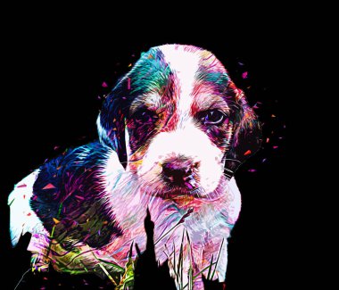 Köpek yetiştiricisi Amerikan Foxhound, illüstrasyon, sanat, klasik, antika resim çizimi