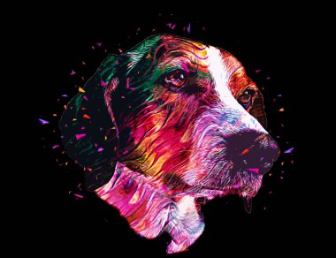 Köpek yetiştiricisi Amerikan Foxhound, illüstrasyon, sanat, klasik, antika resim çizimi