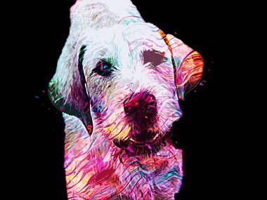 Köpek yetiştiricisi Amerikan Foxhound, illüstrasyon, sanat, klasik, antika resim çizimi