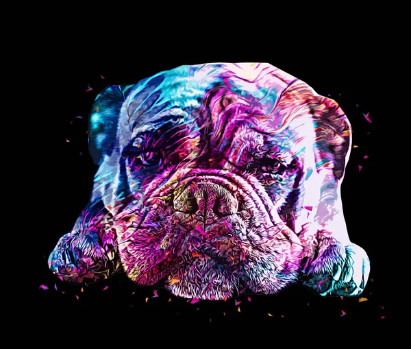 Hermoso Bulldog Perro Aislado Ilustración Arte Vendimia Retro Dibujo Antiguo — Foto de Stock