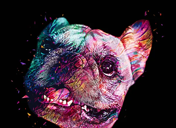 Bellissimo Bulldog Isolato Illustrazione Arte Vintage Retrò Disegno Antico Disegno — Foto Stock