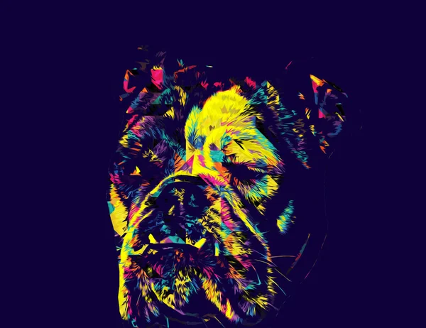 Vacker Bulldog Isolerad Illustration Konst Vintage Retro Antik Teckning Målning — Stockfoto