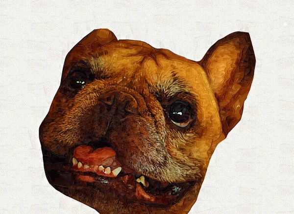 Güzel Bulldog Izole Edilmiş Resim Sanat Antika Antika Resim Çizimi — Stok fotoğraf