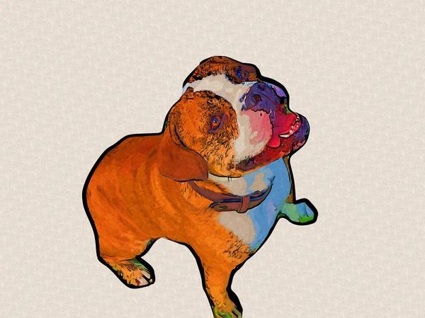 Vacker Bulldog Isolerad Illustration Konst Vintage Retro Antik Teckning Målning — Stockfoto