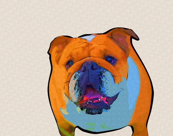 Mooie Bulldog Hond Geïsoleerd Illustratie Kunst Retro Antieke Tekening Schilderij — Stockfoto