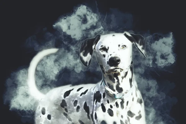 Dalmatiska Hund Sitter Tittar Kameran Illustration Konst Vintage Retro Antik — Stockfoto