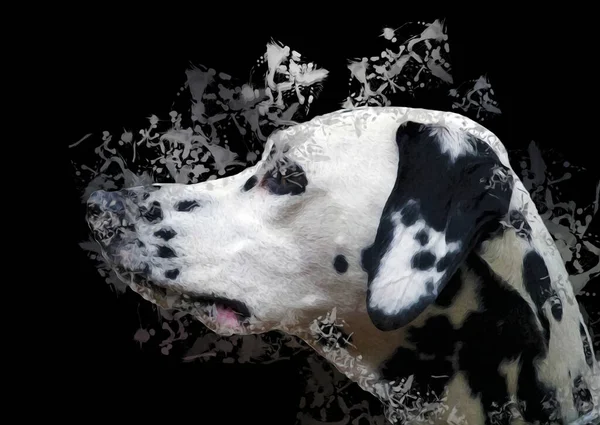 Dalmatische Hond Zittend Kijkend Naar Camera Illustratie Kunst Retro Antieke — Stockfoto