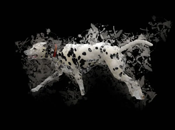 Далматинський Собака Сидить Дивлячись Камеру Ілюстрації Мистецтво Вінтаж Ретро Античний — стокове фото
