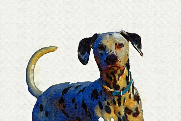 Dalmatiska Hund Sitter Tittar Kameran Illustration Konst Vintage Retro Antik — Stockfoto