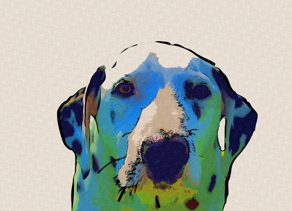 Cane Dalmata Seduto Guardando Macchina Fotografica Illustrazione Arte Vintage Retrò — Foto Stock