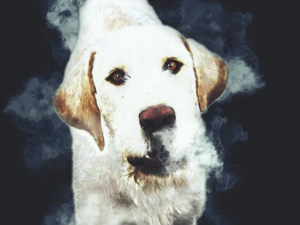 Raza Perro American Foxhound Ilustración Arte Vendimia Retro Dibujo Antiguo —  Fotos de Stock