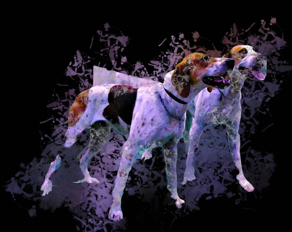 Собака Породжує Американський Фоксхаунд Ілюстрації Мистецтво Вінтаж Ретро Античний Малюнок — стокове фото