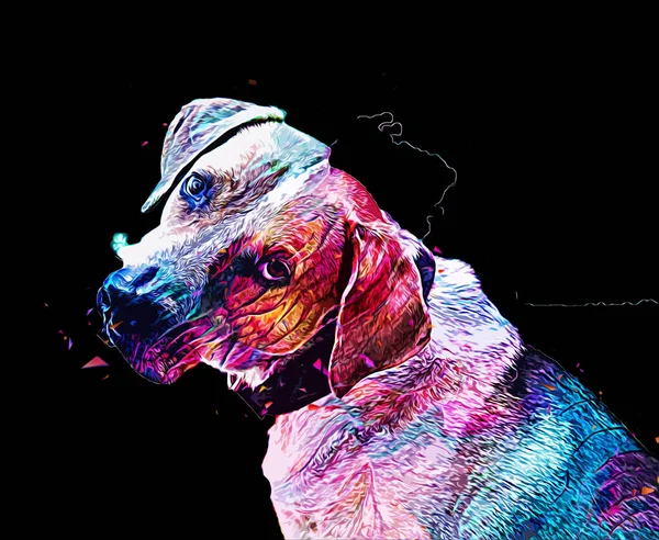 Cane Razza American Foxhound Illustrazione Arte Vintage Retrò Disegno Antico — Foto Stock