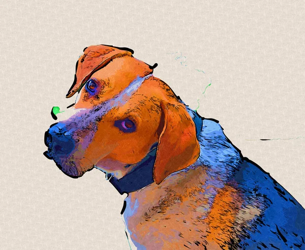 Raza Perro American Foxhound Ilustración Arte Vendimia Retro Dibujo Antiguo — Foto de Stock