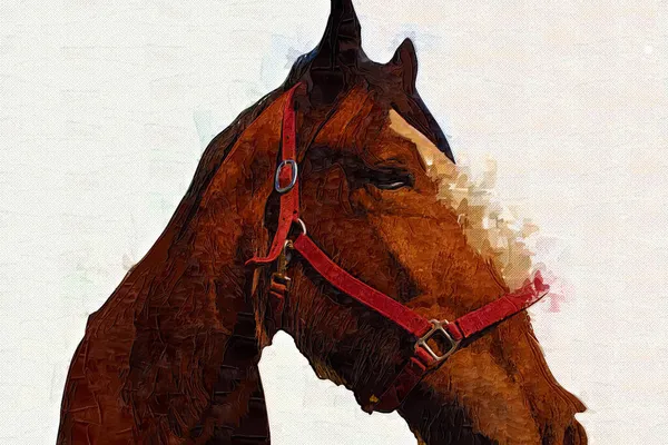 Illustration Art Cheval Coloré Peinture Grunge — Photo