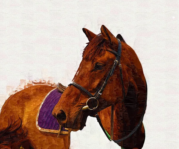 Colorido Caballo Arte Ilustración Grunge Pintura —  Fotos de Stock