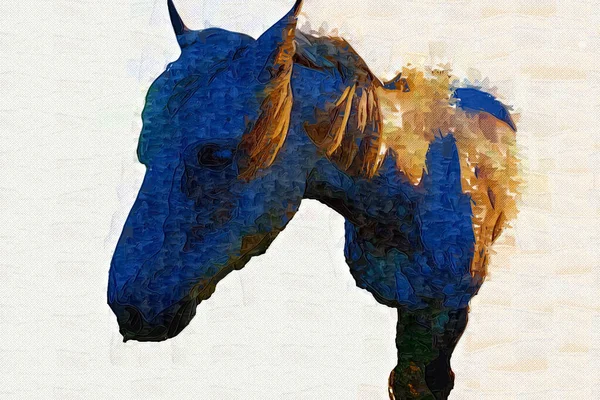 Illustration Art Cheval Coloré Peinture Grunge — Photo