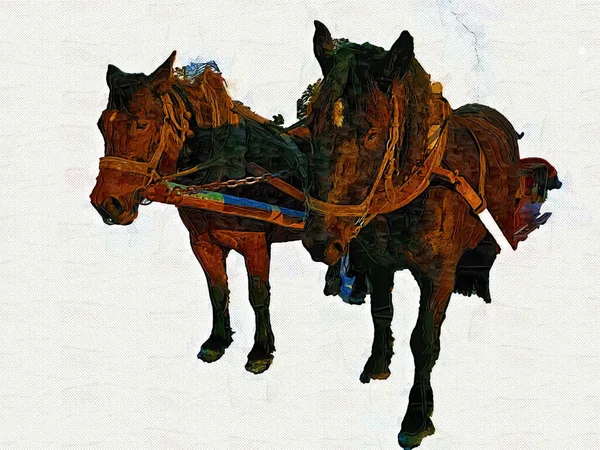 Colorido Caballo Arte Ilustración Grunge Pintura —  Fotos de Stock