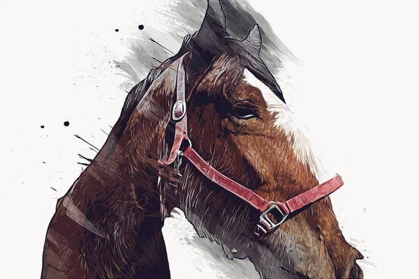 Colorido Caballo Arte Ilustración Grunge Pintura —  Fotos de Stock