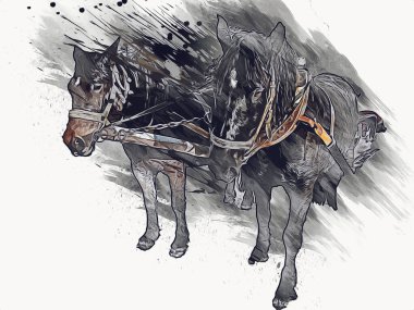 Renkli at resmi grunge resmi