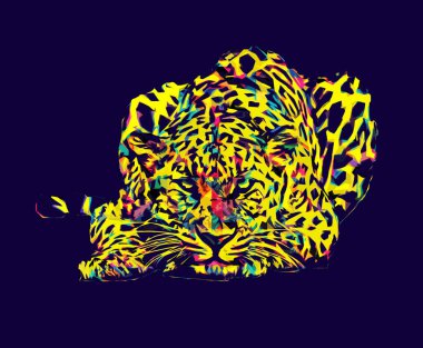 Namibya 'daki Leopar, resim, sanat, antika, antika resim çizimi