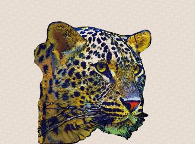 Namibya 'daki Leopar, resim, sanat, antika, antika resim çizimi