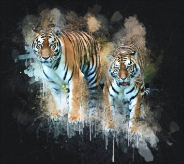 Kaplan sanat çizimi eski çizim