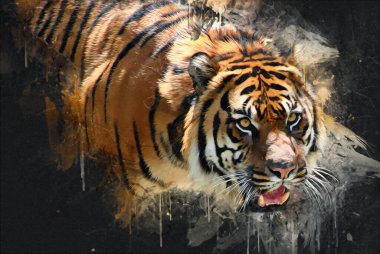 Kaplan sanat çizimi eski çizim