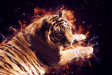 Kaplan sanat çizimi eski çizim